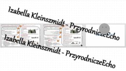 Minizestaw na temat „Mój region” – sketchnotka + karta pracy w power point + gratisowy link do prezentacji multimedialnej niekomercyjnej wykonanej w genial.ly do indywidualnego pobrania i użycia do celów niekomercyjnych. Geografia 7, „Mój region i moja m