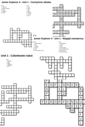 Junior Explorer 4 – Unit 1 – krzyżówki – Cechy_Inne słówka/Członkowie rodziny/Wygląd zewnętrzny