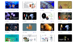 Prezentacja w genial.ly „Parzydełkowce - najprostsze zwierzęta tkankowe” – do edycji i pobrania – biologia klasa VI, dział II – temat 1