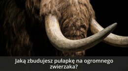 Historia 4 - Najdawniejsi myśliwi- rozdział 9.1 -  GWO 26/27