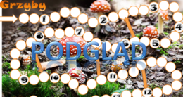 Grzyby- gra planszowa