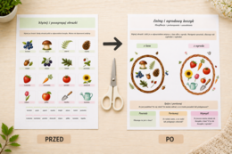 Leśny i ogrodowy koszyk – klasyfikacja