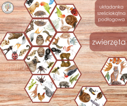 Układanka sześciokątna podłogowa - zwierzęta