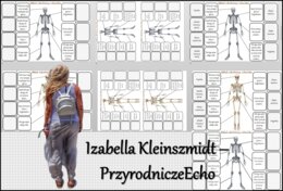 Notatka okienkowa/stacja zadaniowe/notatka interaktywna/notatka graficzna/karta pracy/sketchnotka „Budowa szkieletu”, „Aparat ruchu. Budowa szkieletu”. w pdf. Biologia 7, dział „Aparat ruchu”. Materiał wykonany na podstawie podręcznika z wydawnictwa Nowa