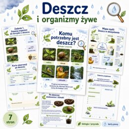 Deszcz i organizmy żywe