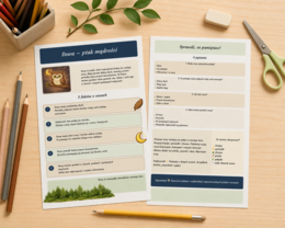 Sowa – ptak mądrości