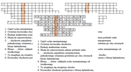 Logogryf na podsumowanie lekcji biologii w klasie 7 o uchu