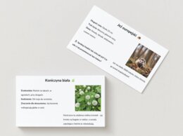 Ekopuzzle. Układanki z ilustracjami ekosystemów