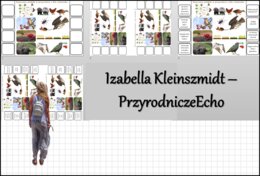 Notatka okienkowa „Znaczenie ptaków” w pdf. Biologia 6 dział „Kręgowce stałocieplne”.