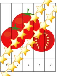 Warzywa - karty pracy