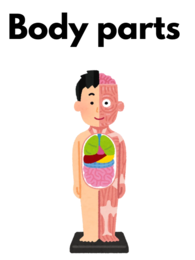 Body parts