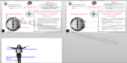 Kompletny zestaw na jedną lekcję „Jak działa kompas” – sketchnotka + karty pracy w power point + gratisowy link do prezentacji multimedialnej niekomercyjnej + gratisowy link do lekcji multimedialnej niekomercyjnej również wykonanej w genial.ly do indywid