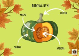 Gazetka "Dzień dyni".