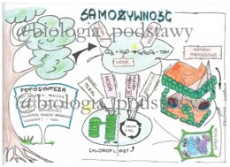 Klasa 5 - Samożywność - sketchnotka