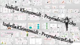 Megazestaw sketchnotek – notatek (51 sztuk) na cały rok szkolny do przyrody w klasie 4.