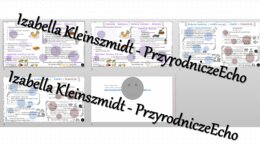 Minizestaw na temat „Pokarm – budulec i źródło energii” – sketchnotka + karta pracy w power point + gratisowy link do prezentacji multimedialnej niekomercyjnej wykonanej w genial.ly do indywidualnego pobrania i użycia do celów niekomercyjnych. Biologia 7