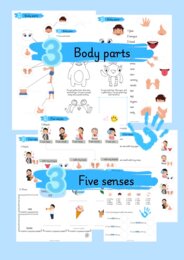 Body parts and five senses.