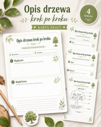 Opis drzewa. Krok po kroku