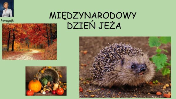 ???Międzynarodowy Dzień Jeża - prezentacja w formie video??