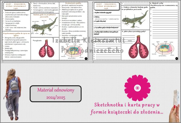 Minizestaw do tematu „Gady - kręgowce, które opanowały ląd” – sketchnotka + karta pracy w pdf + gratisowy link do prezentacji multimedialnej niekomercyjnej wykonanej w genial.ly do indywidualnego pobrania i użycia do celów niekomercyjnych. Biologia 6, Dz