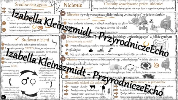 Sketchnotka - notatka „Nicienie-zwierzęta, które mają nitkowate ciało” wykonana w power point do edycji. Biologia 6; „Od parzydełkowców do pierścienic”