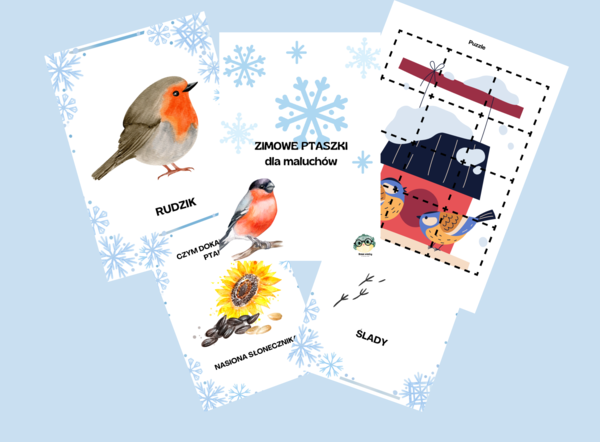 Zimowe ptaki - materiał edukacyjny dla maluchów