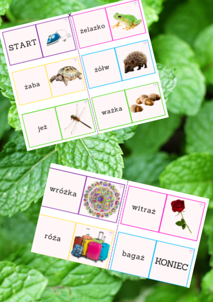 Domino ortograficzne - ż