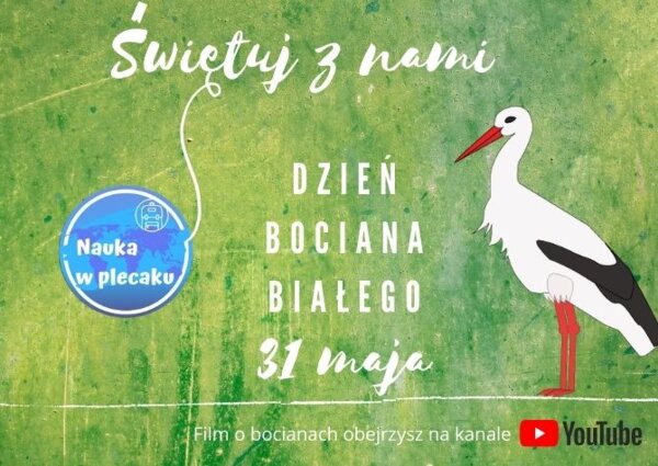 Film - Dzień Bociana Białego - 31 maja