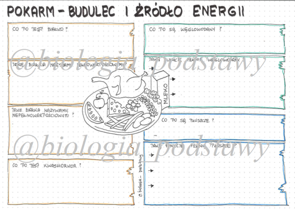 Klasa 7 - Pokarm budulec i źródło energii