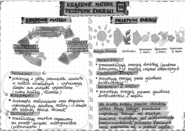 Krążenie materii i przepływ energii - EKOLOGIA - szarość