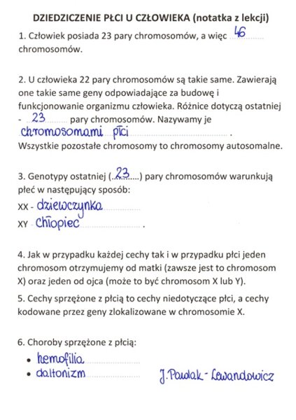 Dziedziczenie płci u człowieka - sketchnotka