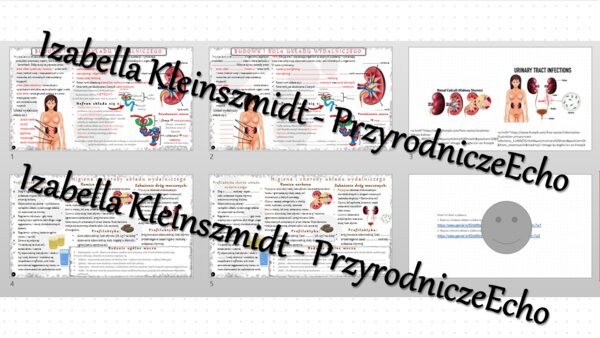 Zestaw sketchnotek i kart pracy + gratisowe linki do prezentacji multimedialnych niekomercyjnych wykonanych w genial.ly do indywidualnego pobrania i użycia do celów niekomercyjnych. Biologia 7, „Układ wydalniczy”