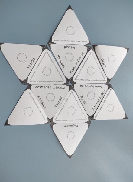Hierarchiczna budowa organizmów + etapy doświadczenia