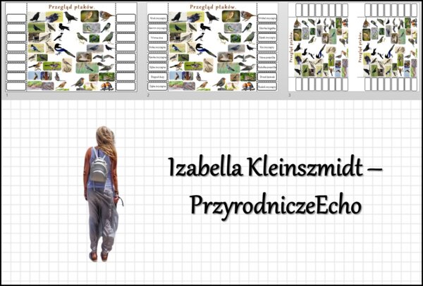 Notatka okienkowa „Przegląd ptaków” w pdf. Biologia 6 dział „Kręgowce stałocieplne”.
