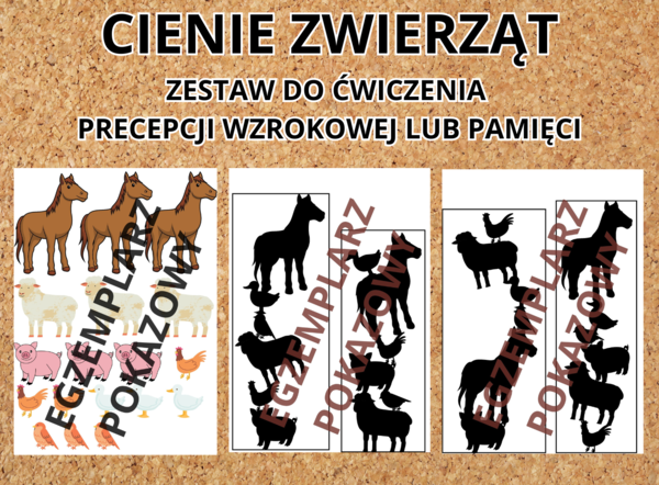 CIENIE ZWIERZĄT zestaw do ćwiczenia percepcji wzrokowej lub pamięci