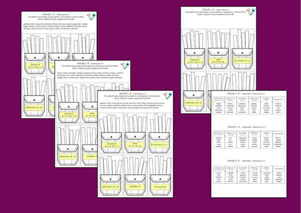 ORTOGRAFIA – wyrazy z „Ż” – zasady – wklejka – karta pracy – 3 wersje + odpowiedzi