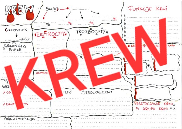 Krew - sketchnotka