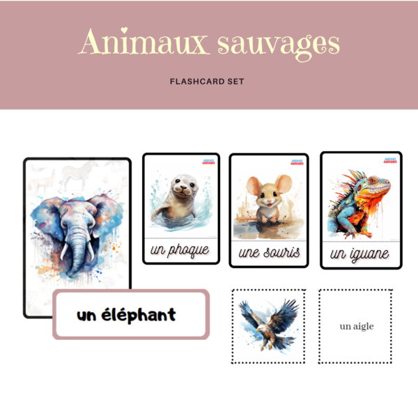 Les animaux sauvages, Dzikie zwierzęta, język francuski, karty obrazkowe i wyrazowe FLE