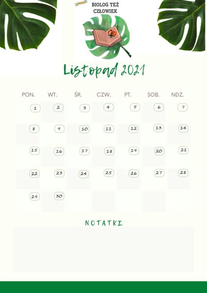 Listopad 2021 - biologiczny kalendarz
