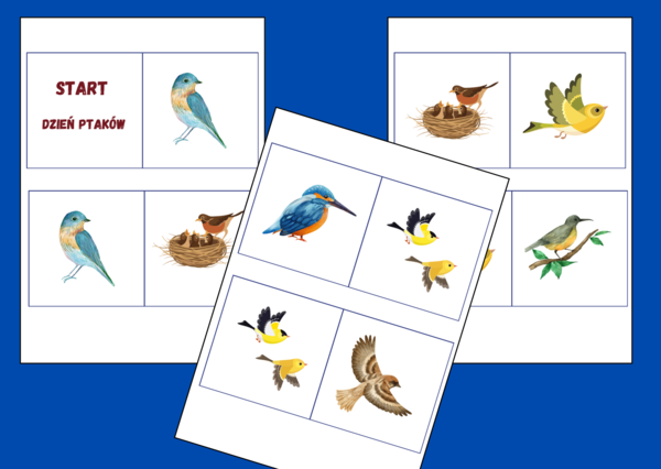 DZIEŃ PTAKÓW – ekologia – wiosna – DOMINO PODŁOGOWE – 26 szt. – biblioteka – świetlica – przedszkole
