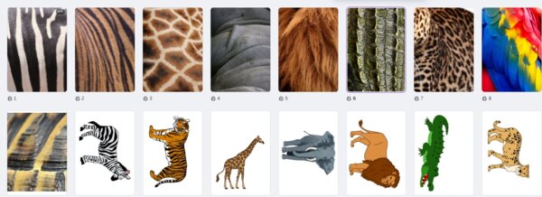 Zwierzęta egzotyczne i ich futerka