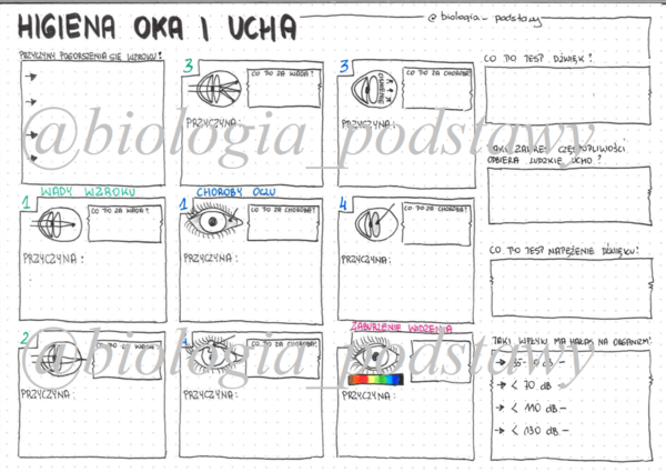 Klasa 7 - Higiena oka i ucha - sketchnotka