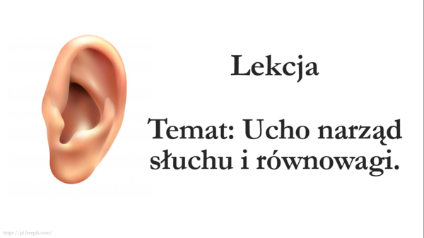 Ucho - klasa 7 - prezentacja