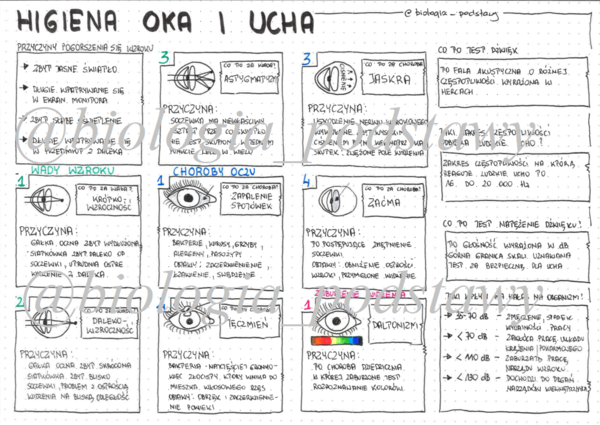Klasa 7 - Higiena oka i ucha - sketchnotka