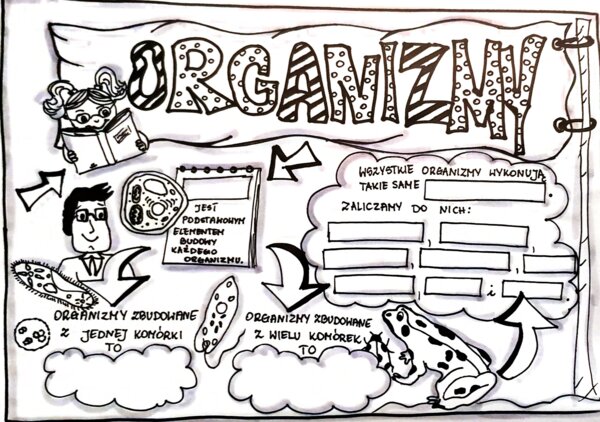 Klasa 4. Przyroda. Karta pracy. Organizmy