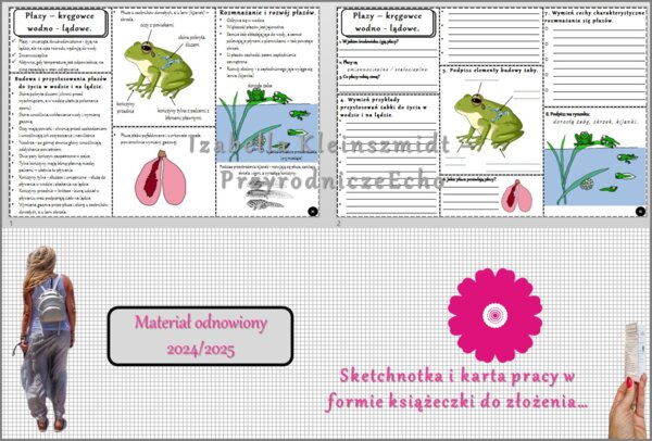 Minizestaw do tematu „Płazy-kręgowce wodno-lądowe” – sketchnotka + karta pracy w pdf + gratisowy link do prezentacji multimedialnej niekomercyjnej wykonanej w genial.ly do indywidualnego pobrania i użycia do celów niekomercyjnych. Biologia 6, Dział „Kręg