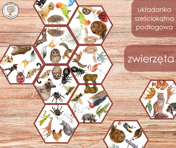 Układanka sześciokątna podłogowa - zwierzęta