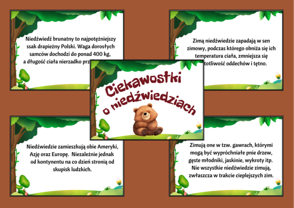 DZIEŃ NIEDŹWIEDZIA – GAZETKA – świetlica – biblioteka – świetlica – 16 stron