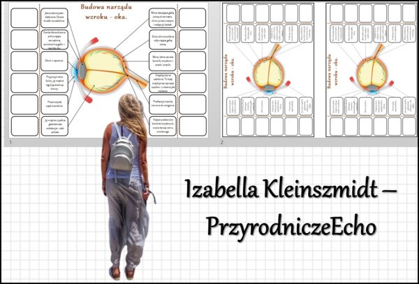 Notatka okienkowa „Budowa narządu wzroku - oka” w pdf. Biologia 7 dział „Budowa i działanie narządu wzroku” - dział „Narządy zmysłów”.