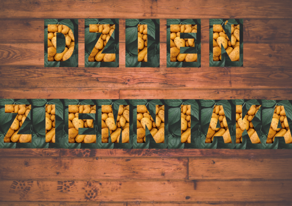 Napis na Dzień Ziemniaka